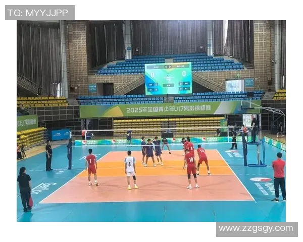 上海排球队在精英赛中的强势表现与战术解析